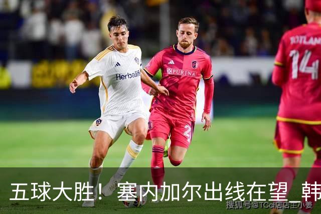 五球大胜！塞内加尔出线在望 韩国晋级仅剩理论希望